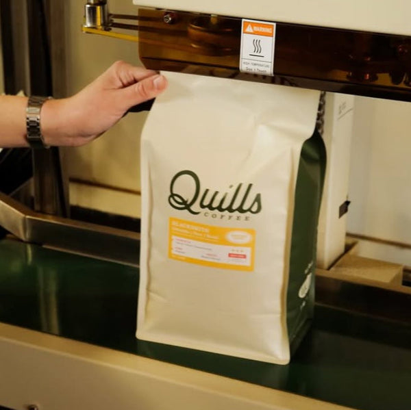 Quills Whole Coffee Beans - 12oz