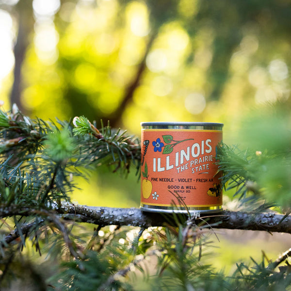 Illinois State Soy Candle